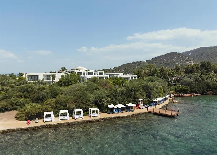 Susona Bodrum, Lxr s & s
