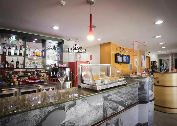 Ibis Teresina
