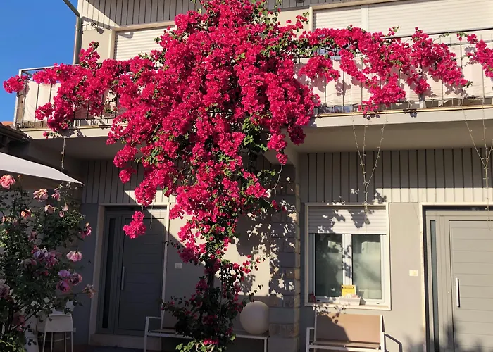 City Garden Guest House