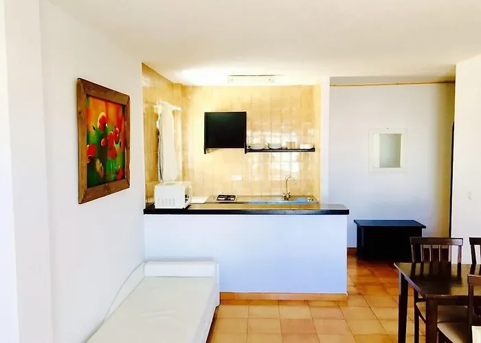 Perros hoteles San Antonio