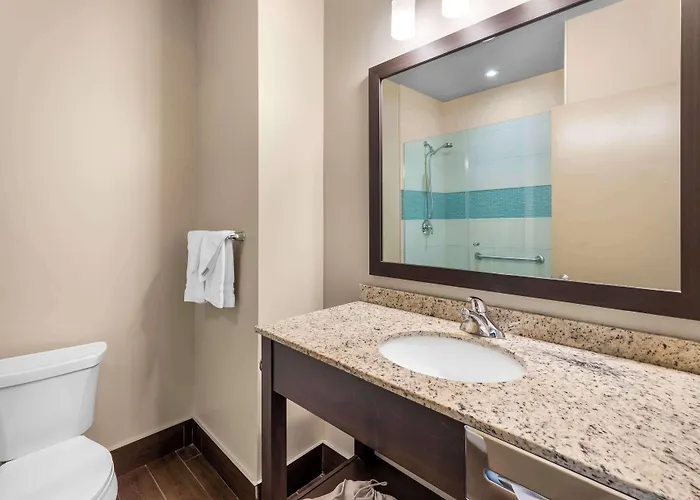 Animaux admis Best Western Plus Montreal