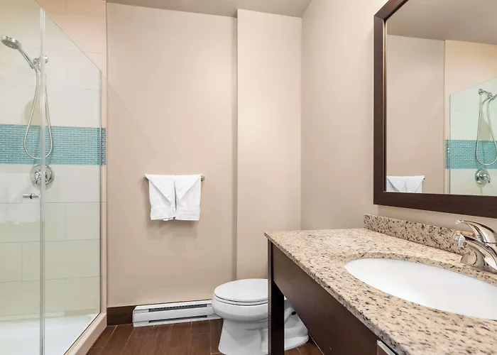 Animaux admis Best Western Plus Montreal