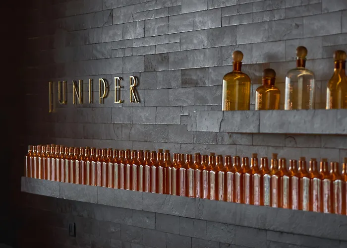Design hotel Andaz Delhi, By Hyatt