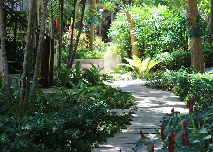 Palita Lodge - Sha Plus