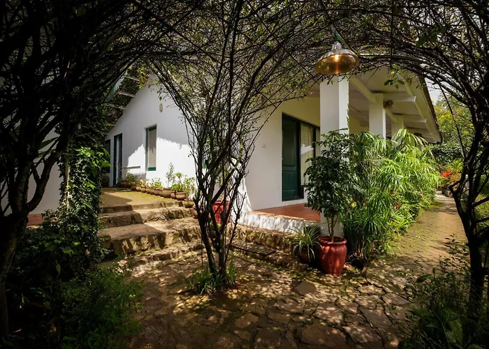 Family Friendly Hotels Tamarillo