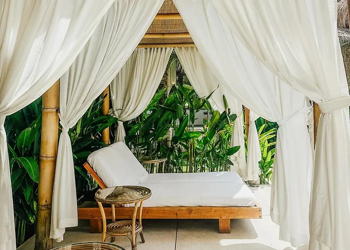 In Luxury hotels Rascals - Adults Only