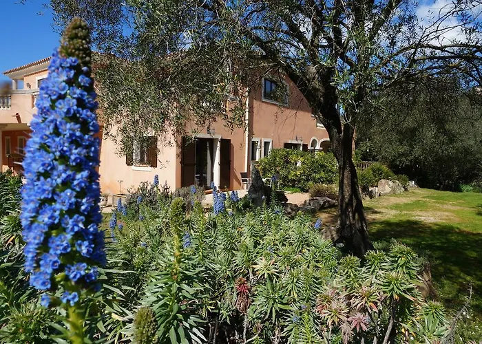 Chambre d'Hôtes Domaine Pero Longo