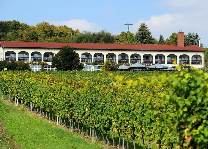 Haustierfreundliches Hotel: Hotel Rebschule