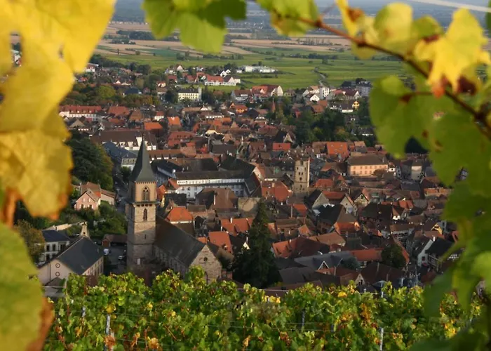Domaine Jean Sipp