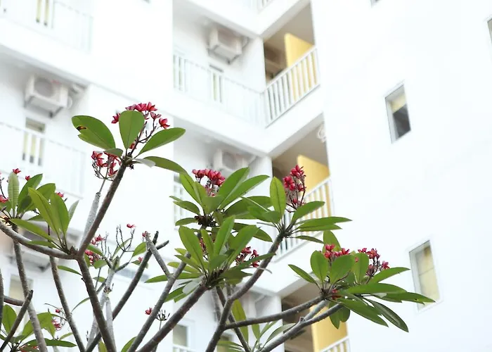 Frangipani Living Arts And Spa
