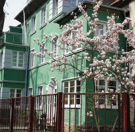 No. 55