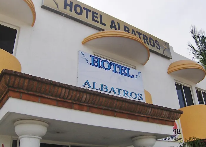 Albatros