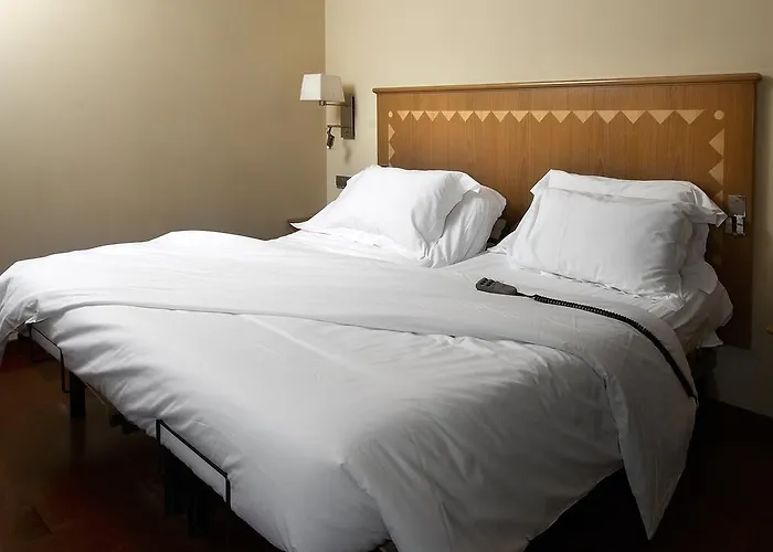 Hôtel accueillant les animaux: Hotel Montecarlo