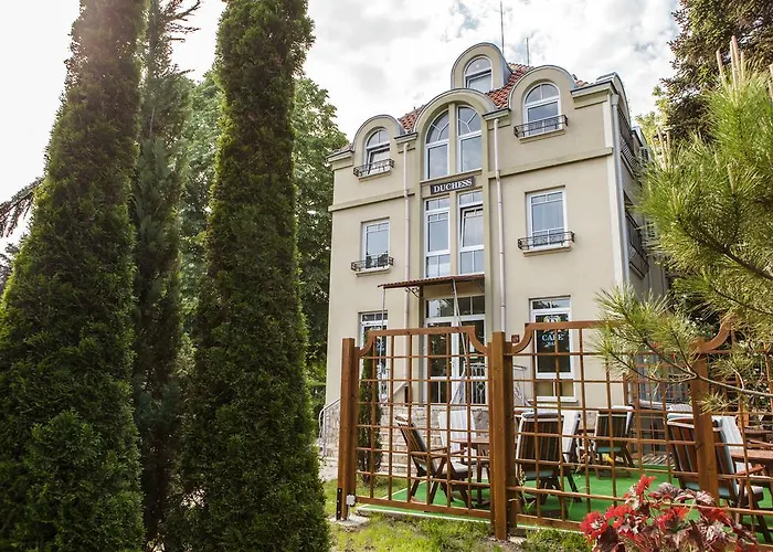 Luchthavenhotel: Hotel Duchess