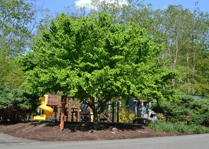 Boutique hotel only: Woodloch Pines Resort