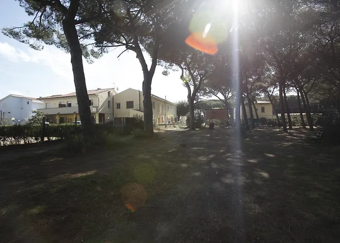 Il Giaguaro