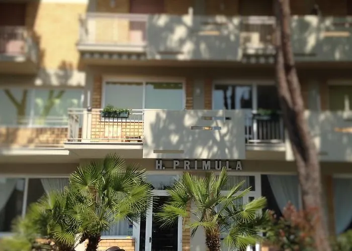 Primula