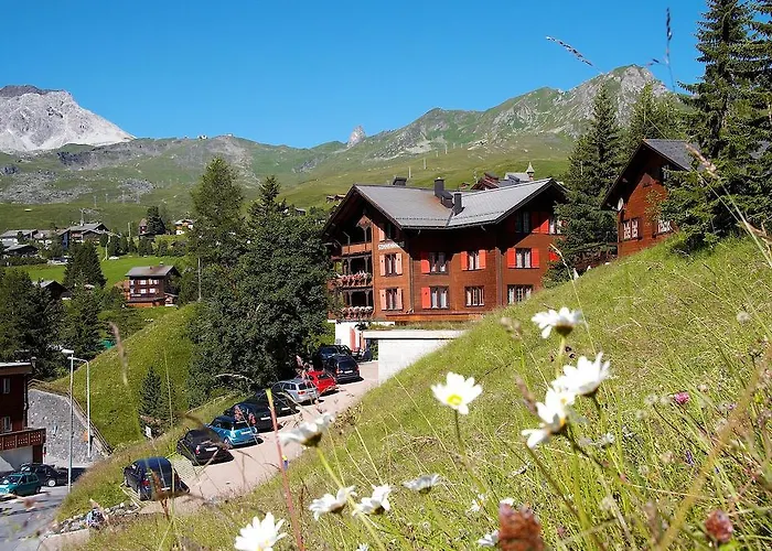 Ping Pong Hotel: Hotel Garni Sonnenhalde