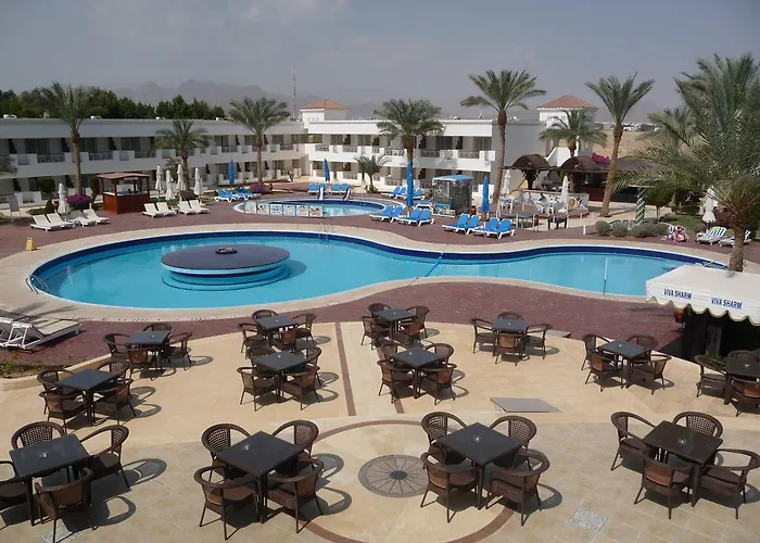 Cheap hotel: Viva Sharm