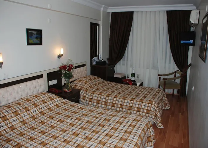 Pet Friendly hotel: Hotel Grand Mark