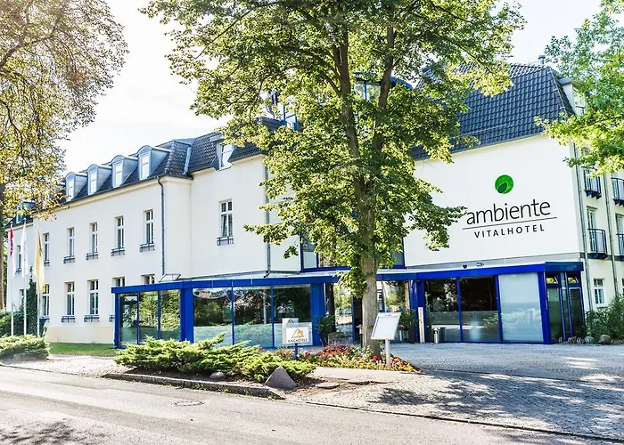 Ringhotel VITALHOTEL ambiente