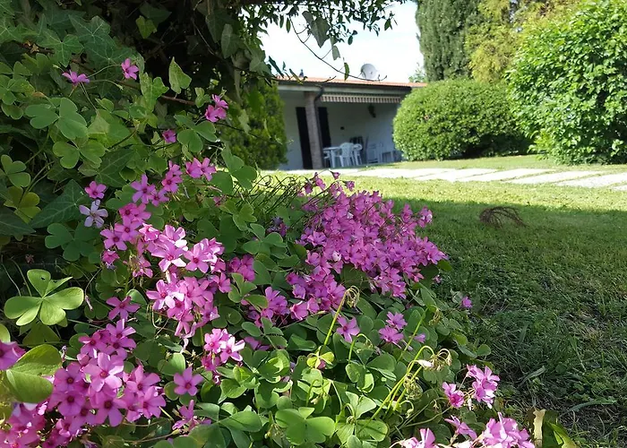 Hotel di lusso: Italsol Residence Riai