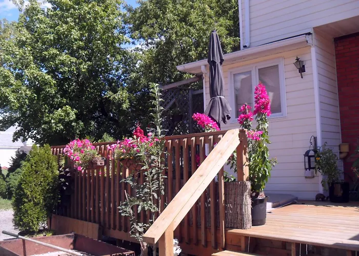 Hotel: Homestead House B&B