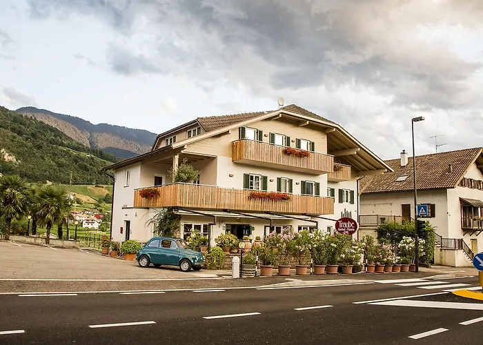 Haustierfreundliches Hotel: B&B Pizzeria Zur Traube