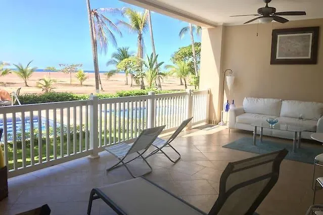 Palms Jaco
