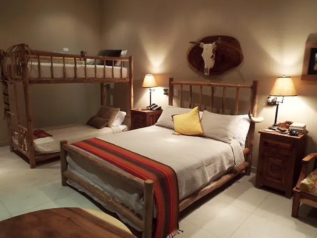 Central hotel: Hotel La Gaviota Tropical