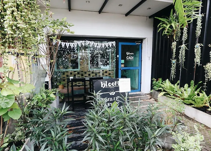 Auberge: Bloomz Hostel