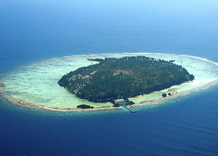 Kura Kura Resort