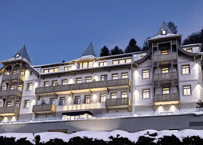 Centraal gelegen hotel: Seehotel Bellevue