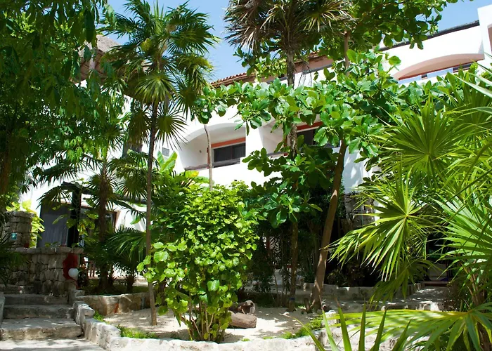 Pelicano Inn Playa Del Carmen - Beachfront