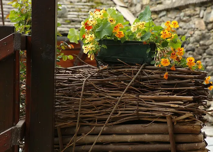  Casa Dei Fiori