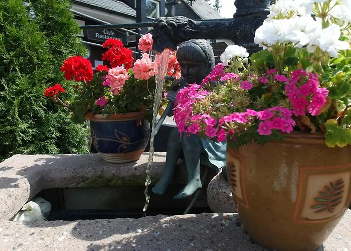 3 sterren hotel: Hotel Clemens