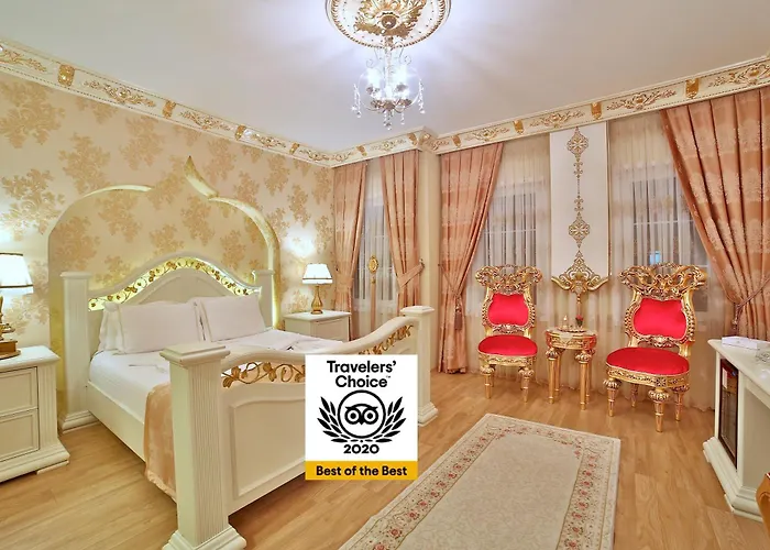 Pets Allowed Hotel White House Istanbul
