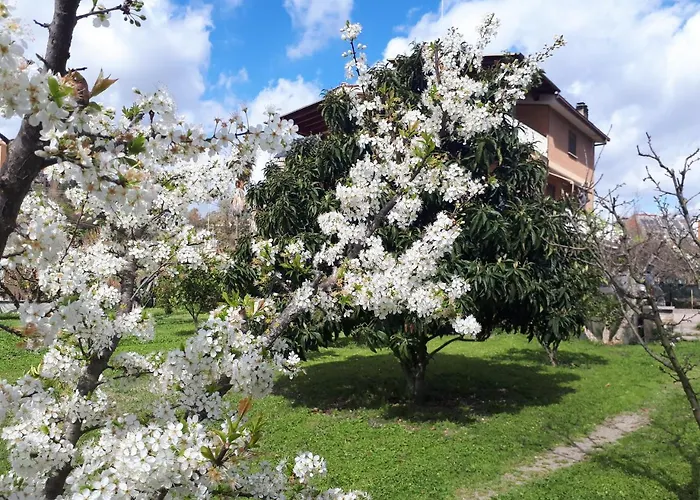 Albergo economico: B&B Il Giardino di Gabri