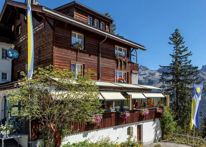 Skihotel: Hotel Arlenwald