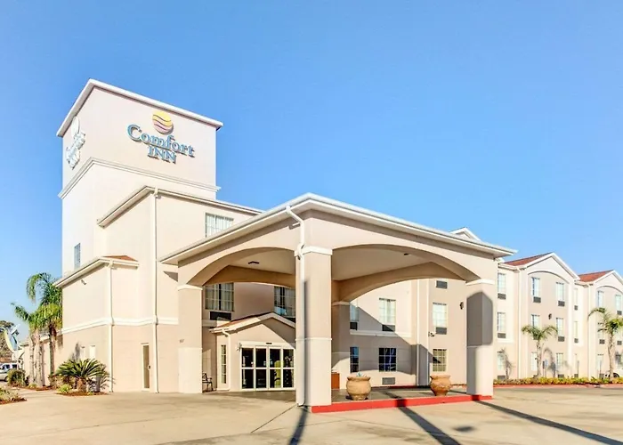 Central hotel: Comfort Inn Near Casino