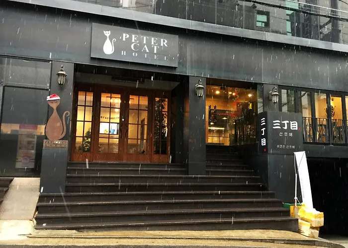 Petercat Hotel Shinchon