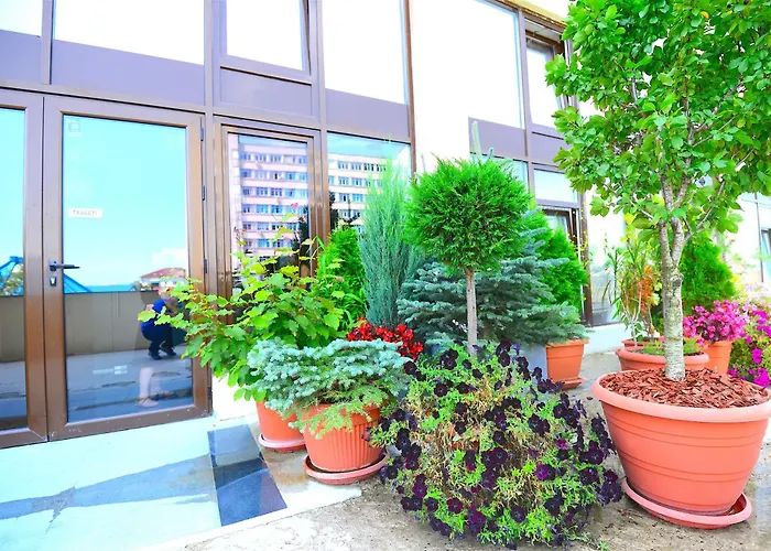 Pet Friendly hotel: Hotel Biscuit