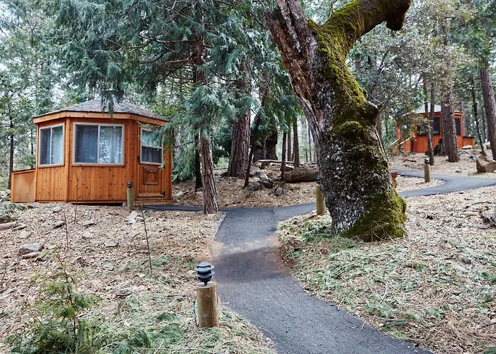 Evergreen Lodge At Yosemite