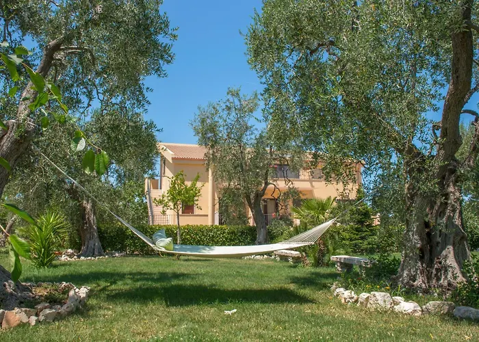Hotel con vista: Villa Fenice Bed&Breakfast