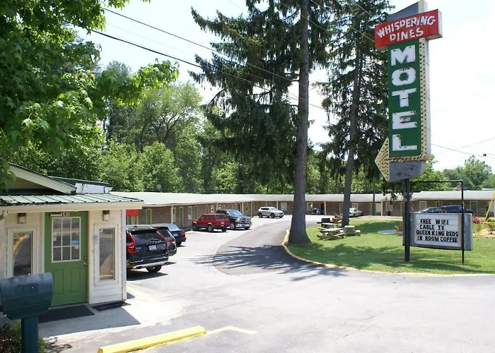 Whispering Pines -