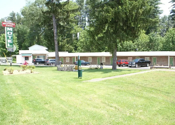 Whispering Pines -
