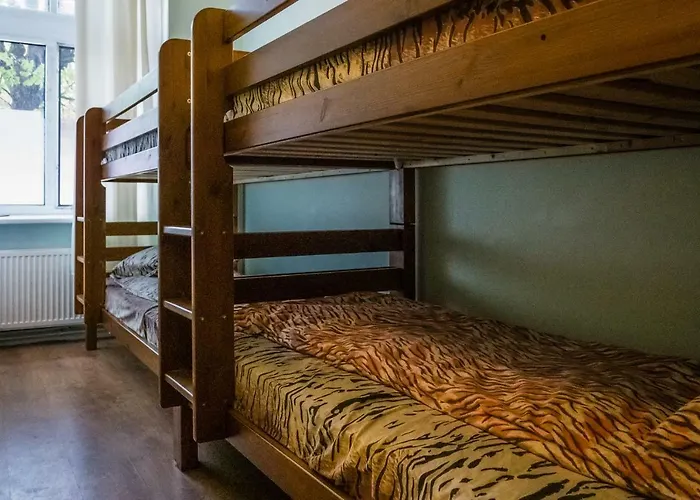 Ostello: Tiger Hostel