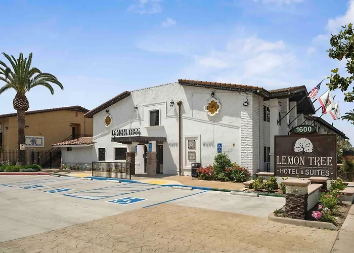 The Lemon Tree Hotel