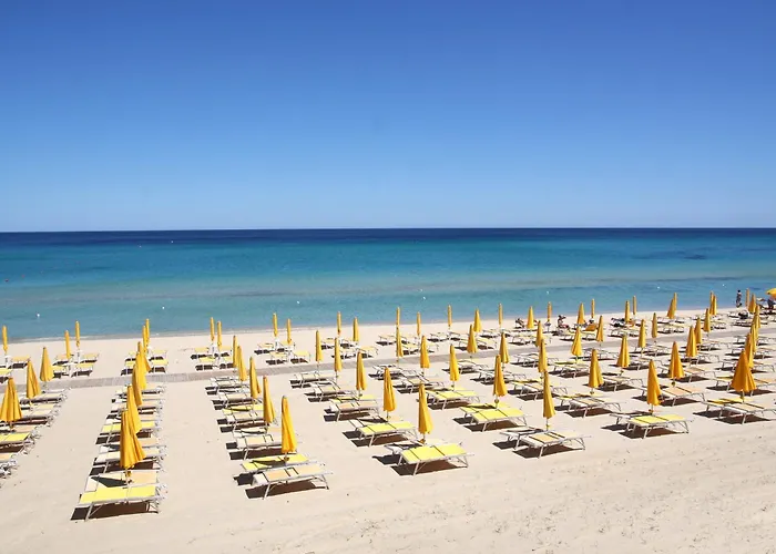 Hotel sulla spiaggia: Th Costa Rei - Free Beach Resort