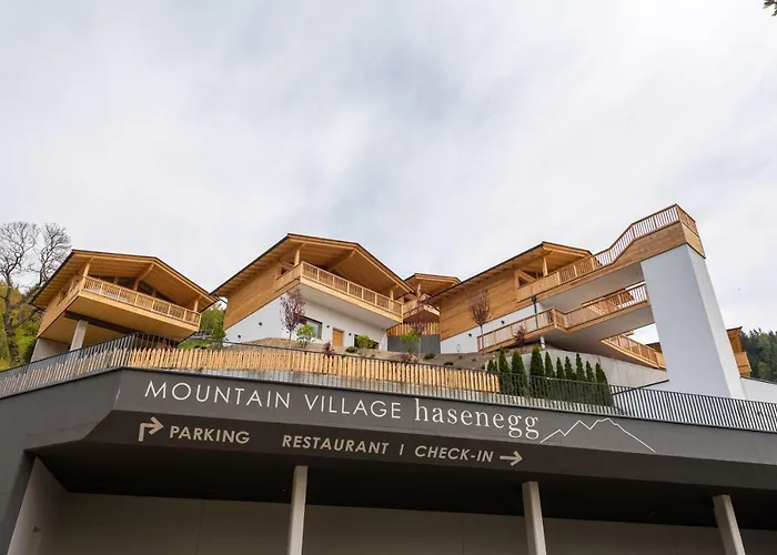 Parco acquatico Hotel: Mountain Village Hasenegg
